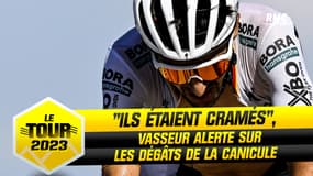 Tour de France : "Les coureurs étaient cramés", la canicule fait des dégâts alerte Vasseur