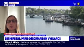 Paris: Anne Souyris revient sur le passage en vigilance sécheresse