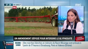 Glyphosate: un amendement va être déposé pour faire inscrire la promesse d'Emmanuel Macron dans la loi