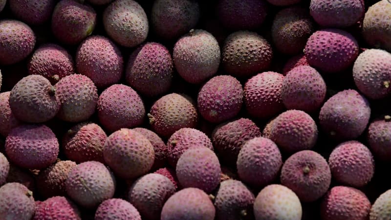 Le litchi peut-être derrière l'épidémie d'encéphalite en Inde