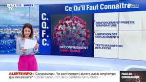 Déconfinement : quelles pistes à l'étranger ? 