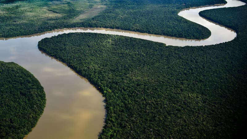 L'Amazonie - Image d'illustration