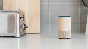 Parmi les 50 millions d'Alexa déjà vendus, seulement 2% de ce total (soit quelque 100.000) ont servi à effectuer au moins un achat en ligne. 