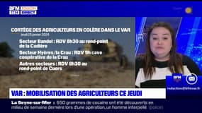 Var: une importante mobilisation des agriculteurs attendue jeudi