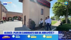 Jobs d'été: en Alsace, le nombre de postes à pourvoir inférieur au bassin d'étudiants candidats