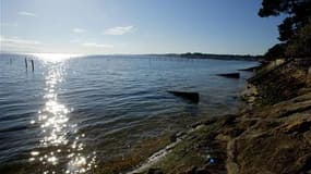 Vue du bassin d'Arcachon. La pêche, le ramassage et la consommation des moules du bassin d'Arcachon ont été interdits après la détection de toxines en quantité trop élevées. /Photo d'archives/REUTERS