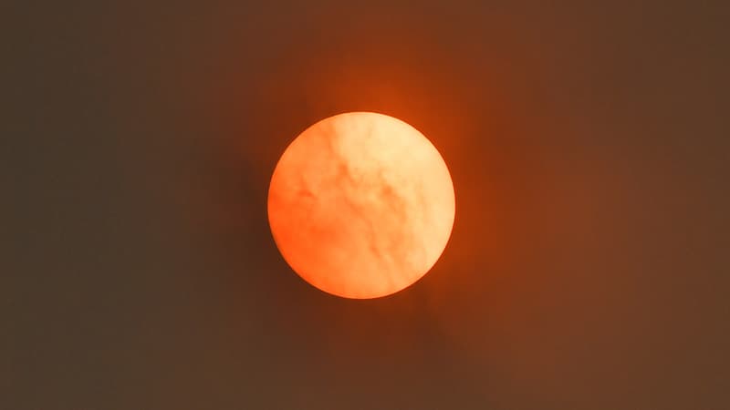 Le soleil va entrer dans un nouveau cycle: ses pôles vont s'inverser durant cet été
