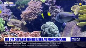 AS Monaco: les U17 sensibilisés au monde marin