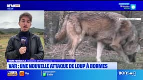 JT du Sud du lundi 9 décembre