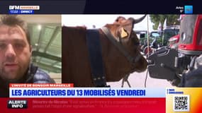 Bouches-du-Rhône: "Nous, exploitants agricoles, on veut nourrir la France avec des produits de qualité"