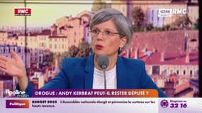 Drogue/Député LFI : "Il y a d'autres problèmes d'addictions dans l'hémicycle"