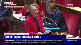 Élisabeth Borne: "L'épidémie de Covid-19 repart et à cela s'ajoutent une épidémie de bronchiolite et une épidémie de grippe"