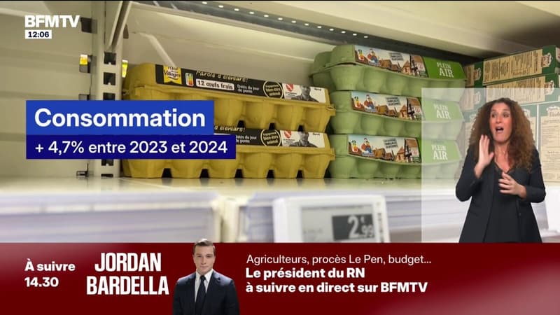 Les œufs en pénurie en raison d'une production insuffisante