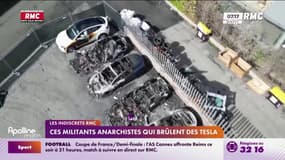 Ces militants anarchistes qui brûlent des Tesla 