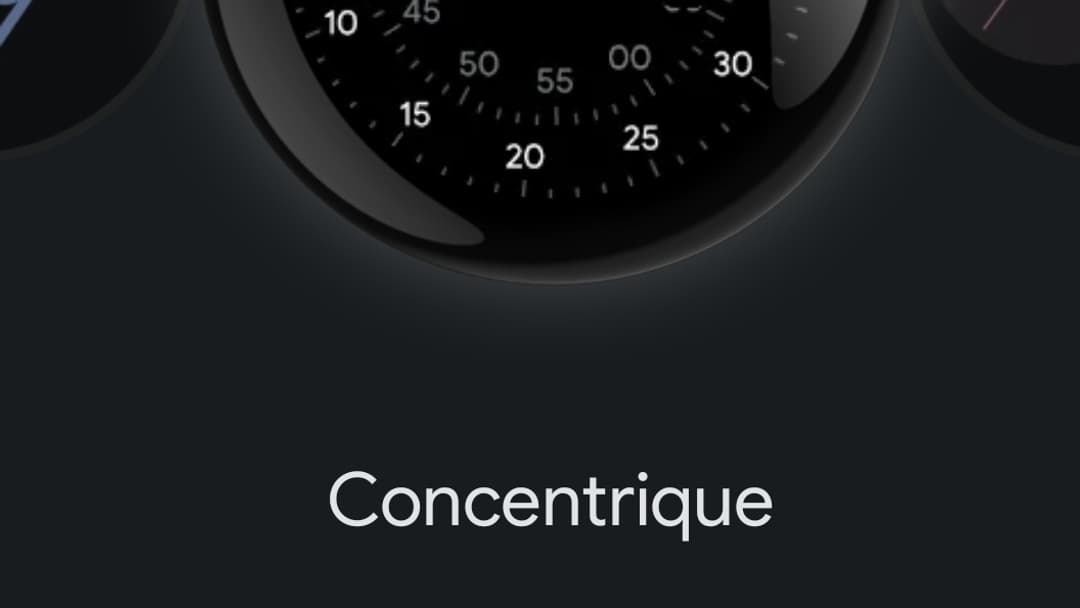 L'interface de l'application Google Watch pour paramétrer la montre. L'interface de l'application Google Watch pour paramétrer la montre.