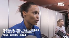 Mondial de hand : "L'atterrissage est très douloureux ce soir" admet Pineau