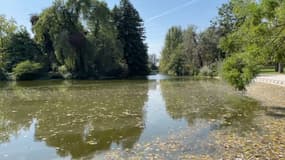 Un étang dans le bois de Vincennes