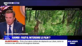 Bambi : faut-il interdire le film ? - 24/09