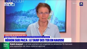 Provence-Alpes-Côte-d'Azur: Nicole Tagand, membre du collectif de l'Etoile ferroviaire de Veynes, dénonce la refonte de la grille tarifaire des billets et abonnements TER