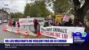 Val-d'Oise: des militants s'opposent à l'installation d'un cirque à Argenteuil