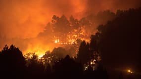 L'incendie sur l'île de Grande Canarie, samedi 17 août 2019