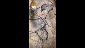 Une exposition immersive sur la Grotte Chauvet à Paris