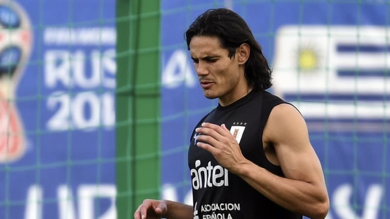 Cavani