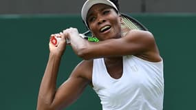 Venus Williams 