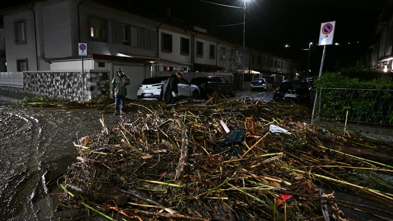 Des arbres déracinés et emportés par l'eau le 2 novembre 2023 à Santa Lucia, commune de Prato, en Toscane (Italie), après le passage de la tempête Ciaran