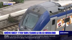 Grève SNCF: un TGV sur 2 en circulation dans les Alpes-Maritimes ce week-end