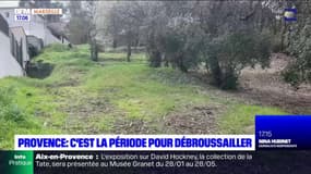 Bouches-du-Rhône: c'est la période pour débroussailler alors que la sécheresse menace