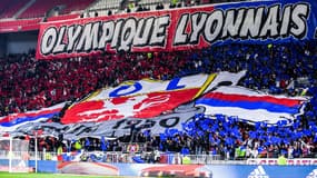Supporters Olympique lyonnais