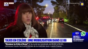 Alpes-Maritimes: les taxis mobilisés contre la réforme du transport sanitaire 