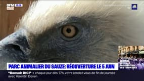 Le parc animalier du Sauze rouvrira le 5 juin