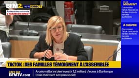 "Cet algorithme arrive à enfermer nos enfants": à l'Assemblée des familles témoignent des effets de Tiktok 