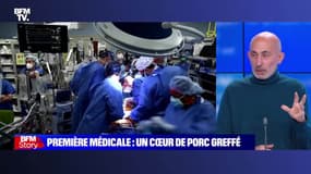 Story 4 : Un cœur de porc greffé avec succès sur un humain aux États-Unis - 11/01