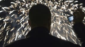Un garçon de 7 ans et sa soeur de 24 ans ont été tués lors d'un "incident de tir" survenu pendant le feu d'artifice du 14-Juillet 2022 à Cholet (photo d'illustration)