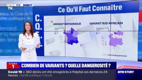 Covid-19: où en est la circulation des variants en France ?