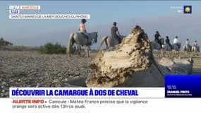 Découvrir la Camargue à dos de cheval