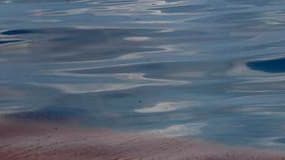 Nappe de pétrole dans les eaux du golfe du Mexique. BP poursuit ses efforts pour enrayer la marée noire mais les courants font craindre que le pétrole n'atteigne les zones touristiques de Floride, à un mois de l'été. /Photo prise le 18 mai 2010/REUTERS/Ha