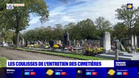 Mulhouse: les coulisses de l'entretien des cimetières