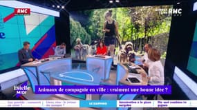 Animaux de compagnie en ville : vraiment une bonne idée ? L'avis de Catherine Rambert