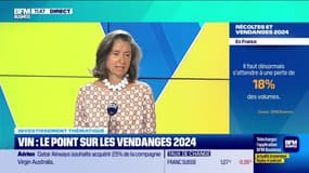 Investissement thématique : Vin, le point sur les vendanges 2024 - 02/10 