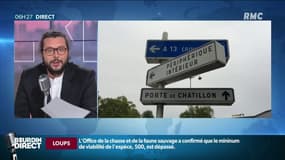Vers un périphérique parisien limité à 50km/h? Anne Hidalgo "va y travailler"