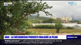 Dans le Var, la sécheresse persiste malgré la pluie