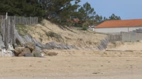 Des vacances au camping virent au cauchemar
