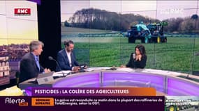 Pourquoi l'interdiction des néonicotinoïdes met en colère les agriculteurs