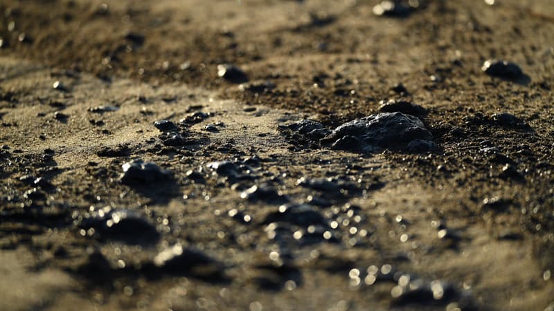 États-Unis: les gestionnaires d'un oléoduc plaident coupable de pollution après une marée noire