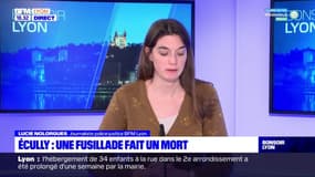 Métropole de Lyon: une fusillade fait un mort à Ecully