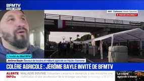 Dermatose nodulaire: "Si on ne vaccine que dans 15 jours (...) on va abattre tous nos animaux", affirme Jérôme Bayle, éleveur de bovins et militant agricole en Haute-Garonne